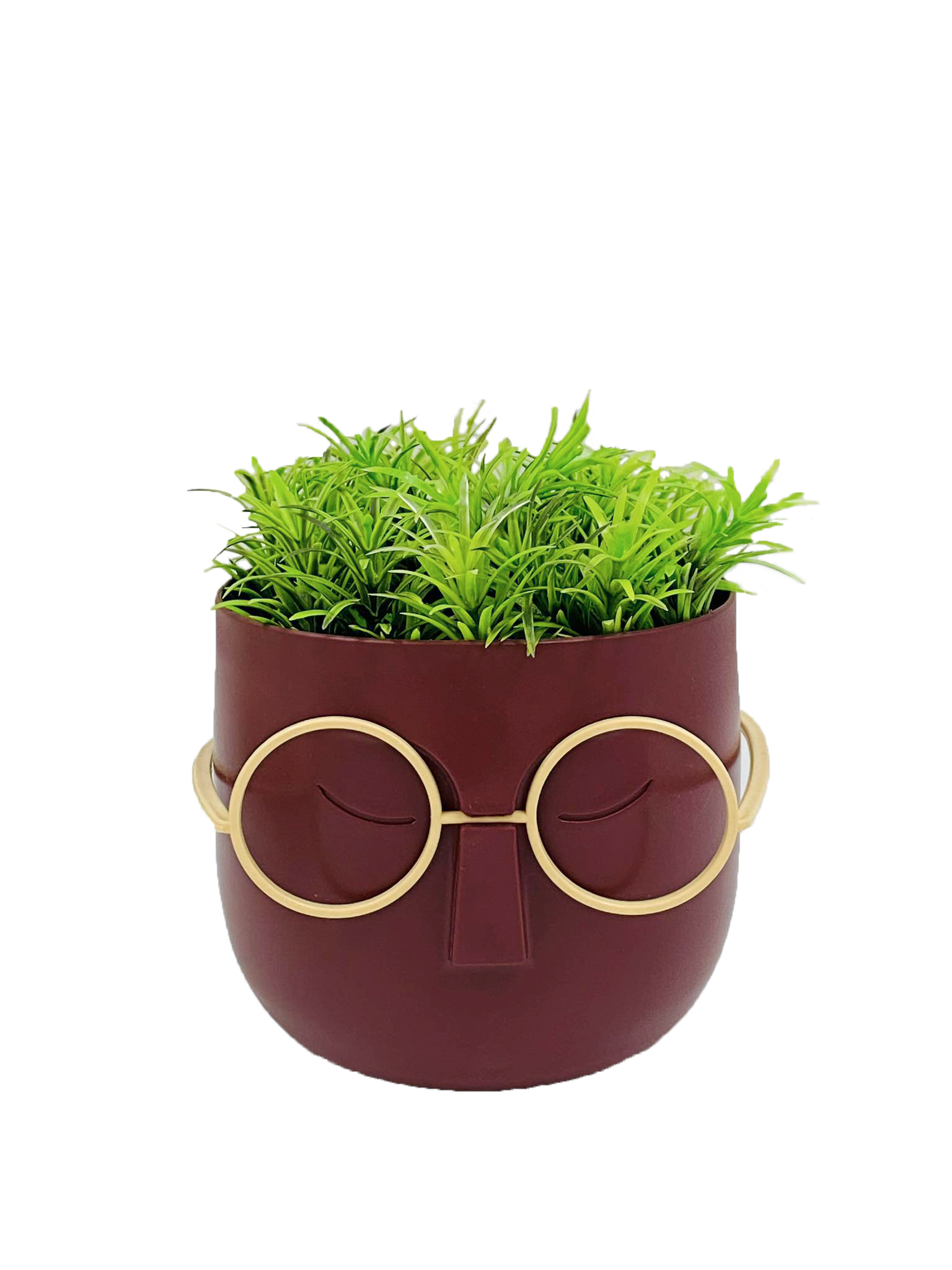 Plante décorative 